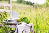 Gestapelte Teller und Tassen mit Blumen auf Holzstuhl in einer Frühlingswiese