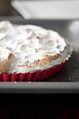 Meringue tart with icing sugar