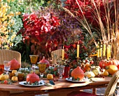 Autumnal patio table with squash, sea buckthorn, Chinese lanterns, rose hips and roses