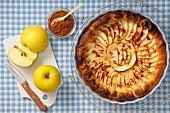 Apple tart with cinnamon, in the dish it was baked in
