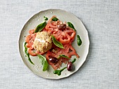 Gebackener Mozzarella mit Tomatensalat, Oliven und Basilikum