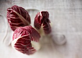 Frischer Radicchio