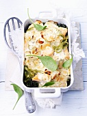 Pasta bake with salmon and spinach