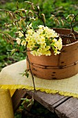 Posy of cowslips and hazel twigs in old wooden container on wooden table in garden