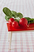 Radishes on red dolls' house table on checked tablecloth