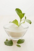 A stevia plant and powder