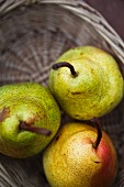 Three autumn pears in a basket