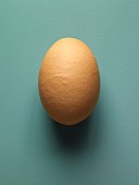 A brown hen's egg
