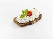 Bread topped with cottage cheese, tomato and basil