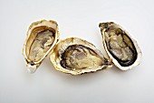 Three Gillardeau oysters on a white surface