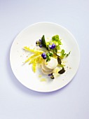 Wild herb salad with goat's cheese and violet vinegar