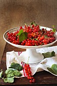 Redcurrants in a bowl