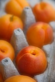 Apricots in an egg box