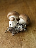 Fresh brown mushrooms with soil on a wooden surface
