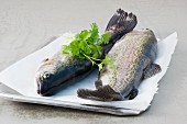Two fresh trout with parsley