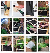Making a square foot garden frame (raised vegetable bed with wooden grid and trellis)