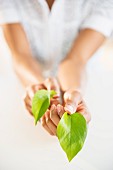 A woman holding two leaves in her hands