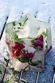 Ice lantern containing frozen flowers on snowy ground