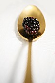 A blackberry on a golden spoon