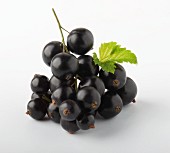 A bunch of blackcurrants