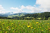 A view from Moosegg (canton of Bern, Switzerland) into Emmental and the Bernese Alps