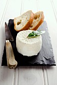 Goat's cheese on a slate slab with sliced bread