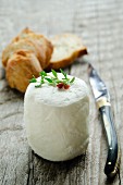 Goat's cheese with a knife and slices of baguette