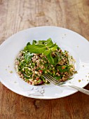 Salad with minced duck, onions and mint