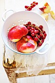 Vineyard peaches and redcurrants in a metal colander