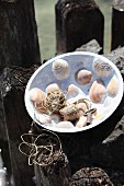 Key, string and corks in handcrafted bowl with mosaic of seashells