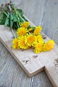 Dandelion flowers on cutting wooden board (close-up)