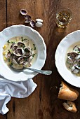Clam chowder in two bowls
