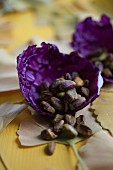 A bowl made from red cabbage leaves, filled with pistachios