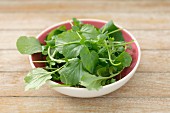 Watercress in a small bowl
