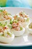 Stuffed eggs with cucumber, prawns and cress