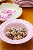 Quails' eggs