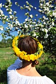 Junge Frau mit Blumenkranz im Haar beim Betrachten eines blühenden Apfelbaums