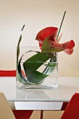 Red flamingo flower and green leaf arranged in glass vase on white frosted glass table top surrounded by red and white shell chairs