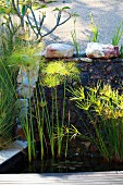 Wasserpflanzen im Becken einer Gartenanlage