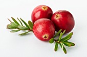 Three cranberries with a twig