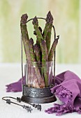 Asparagus with a Purple Cloth
