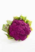 A purple cauliflower