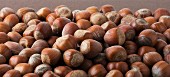 Hazelnuts