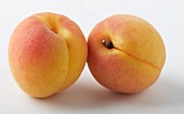 Two apricots