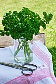 Curly-leaf parsley in a jar of water with scissors on a table outdoors