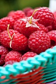 Fresh raspberries in a basket