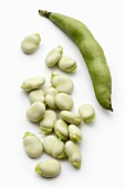 Broad beans and a bean pod