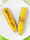 Two barbecued corn cobs on a plate (view from above)