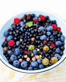 Mixed Berries in a Bowl