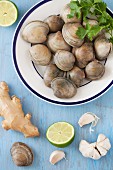 Fresh Clams with Ginger, Garlic and Lime